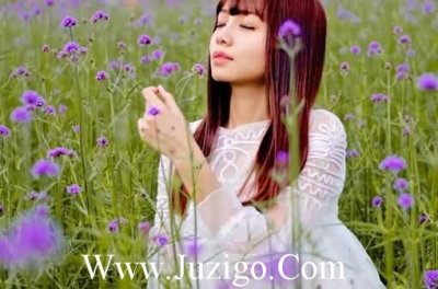 ​保护动物的哲理名言保护动物的名言警句(精选75句)