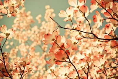 ​高校校园体育文化口号84句