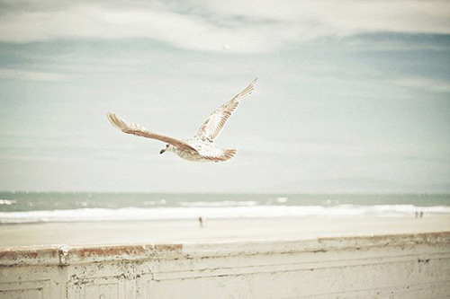 关于敬业的名言警句57句