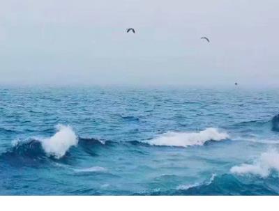 交通安全格言警句