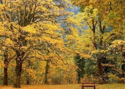 ​小学生励志名言