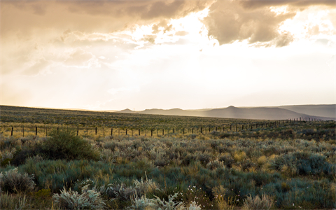 资源之家(5K壁纸) (119).jpg