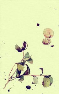 ​放飞梦想名言名句大全（100句关于理想的名人名言）