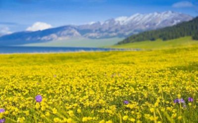 ​个人名言个性签名 搞笑名言名句大全