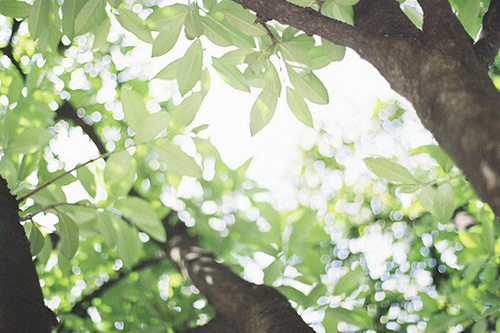 初中体育比赛班级拉拉队口号37句