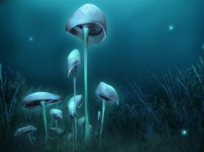 ​关于坚强的名言