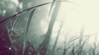 ​排队打饭的宣传标语(学校操场警示的标语)