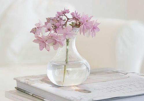 创新班级口号大全(每一天都是现场直播…)