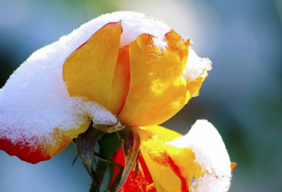 ​优选的职业健康检查标语大全(职业健康口号标语大全)