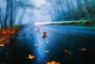 ​5.8世界红十字日宣传标语(精选29句)