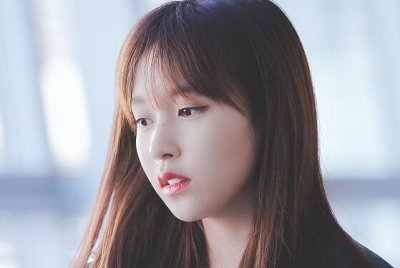 ​爱鸟护鸟的宣传标语