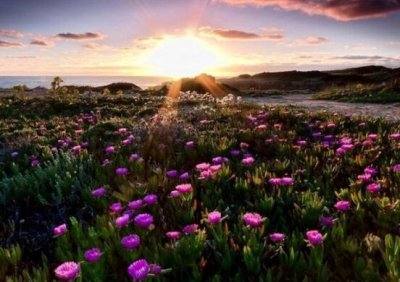 ​文明礼仪宣传口号