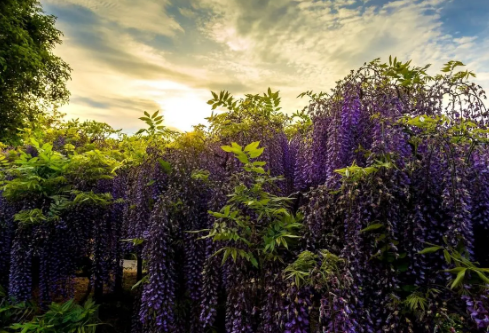 1688735854277985.png image.png