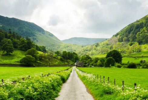 1686209794255910.png image.png