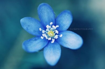 ​往水池倒垃圾的标语（厨房水池标语分类）