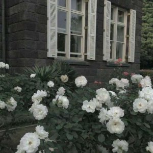 ​关于体育节出场的班级口号 一年级运动会简短口号