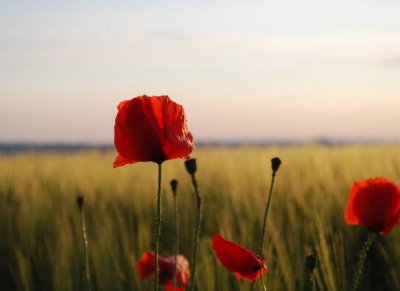 ​大合唱的口号有哪些