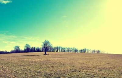 ​竞技体育宣传口号