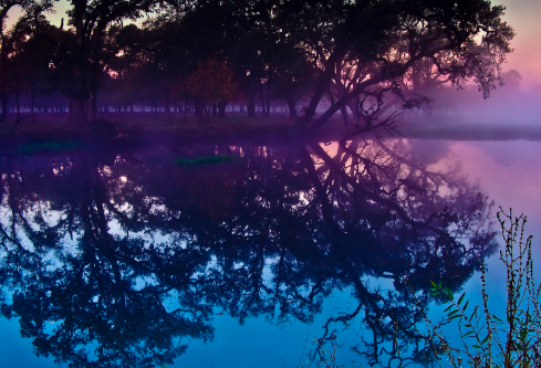 1688742361110286.png image.png