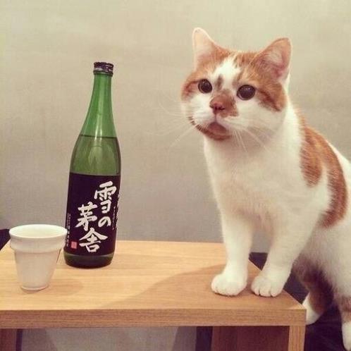 学校安全标语图片(生命至上安全第一标语)