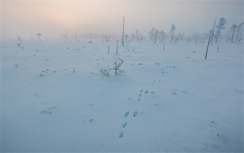 资源之家(5K壁纸) (154).jpg