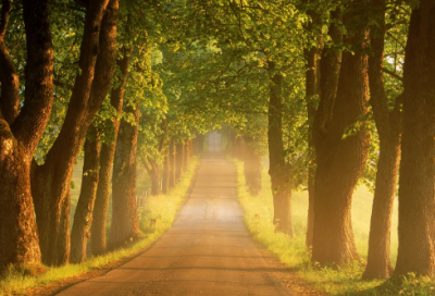 ​体育运动健身标语