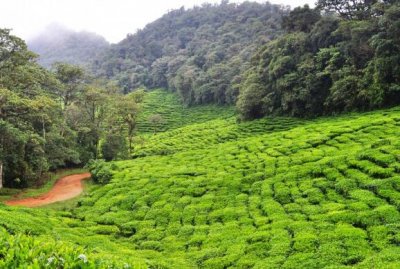 ​励志加油运动会口号大全