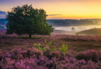 ​老乡会宣传语