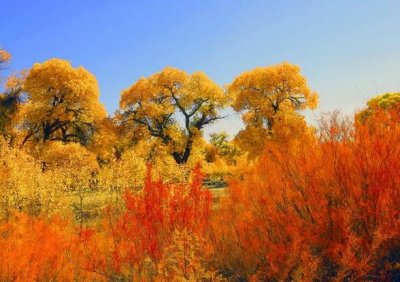 ​二年级春季运动会口号