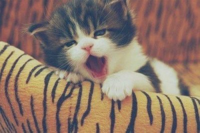 ​美容院五一微信宣传语 五一美容院活动方案标语