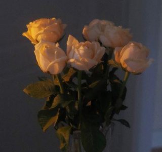 ​伤感唯美句子38条