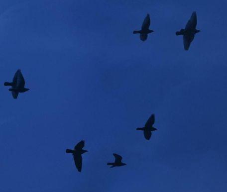 【精华】唯美伤感句子集锦38条