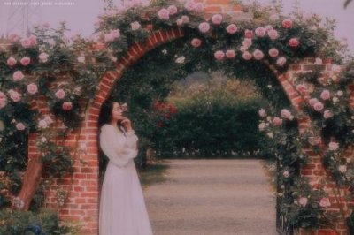 ​经典形容桃花的句子