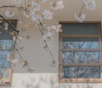 ​情感哲理句子精辟2025 爱情哲理句子精辟(63句)