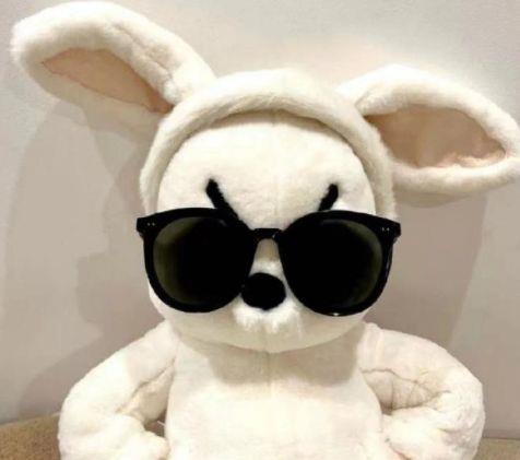 现代描写雪的优美句子