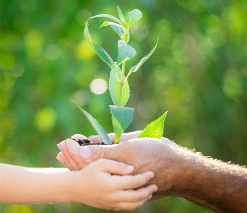 女孩子表白的经典句子