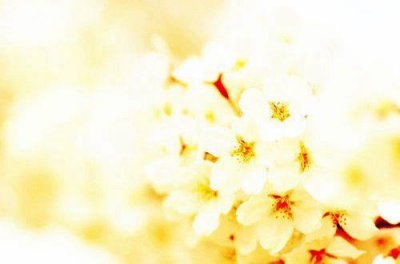 ​九月再见，十月你好优美句子