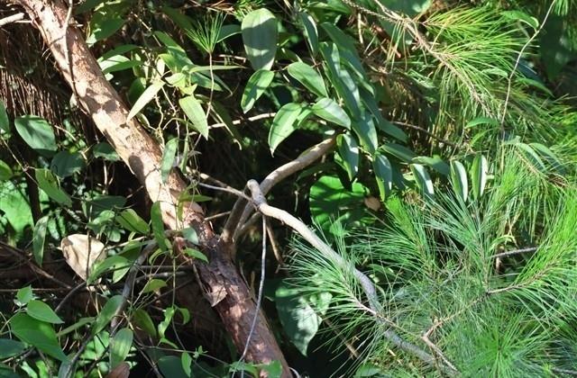 今年出生的孩子取什么名字好呢两个字女孩(4 今年出生的孩子取什么名字好呢两个字女孩(4