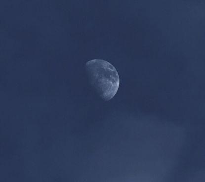 2015年关于光棍节的句子