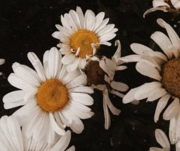 ​伤心到极致的句子