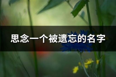 ​思念一个被遗忘的名字(73个)