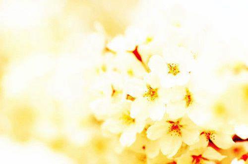 描写思念故乡的句子