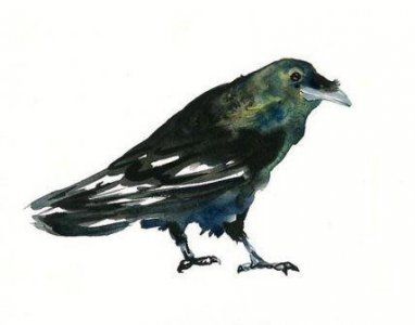 ​狗年经典短信大全121句