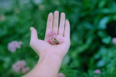 ​表达抒情的优美句子