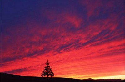 ​形容伤感的句子50条