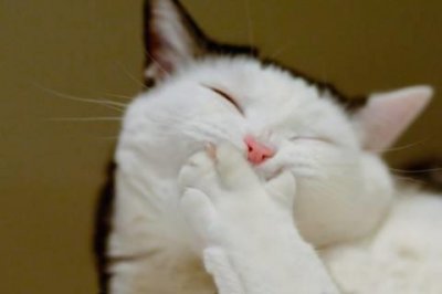 ​关于描写老师的句子94句