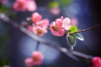 ​赞美祖国山河的经典句子