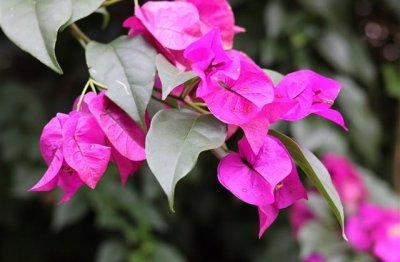 ​30岁成熟有内涵的男人网名(精选348个)