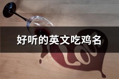 ​好听的英文吃鸡名(共133个)