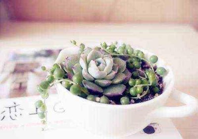 ​游戏中好听的id名